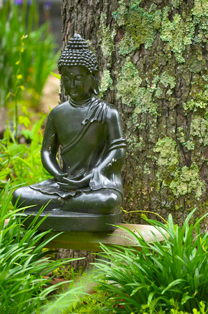 Green Buddha II